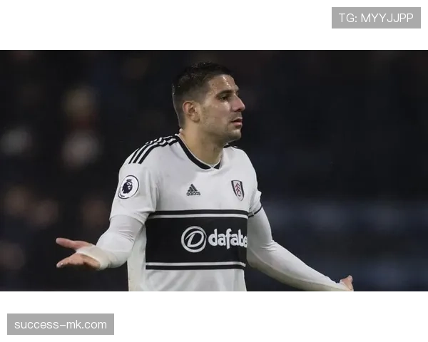 亚历山大·米特罗维奇状态火热,助球队全力冲击佳绩 亚历山大·米特罗维奇状态火热,助球队全力冲击佳绩