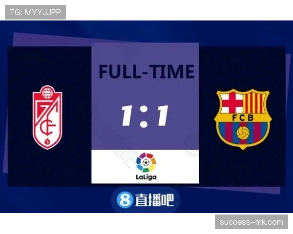 个人奖项与团队成绩：维尼修斯的生涯评估